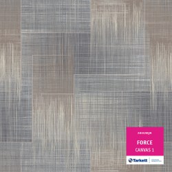 Canvas 1